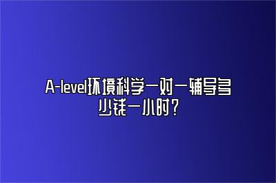 A-level环境科学一对一辅导多少钱一小时？