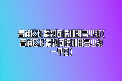 青浦区托福封闭培训班多少钱(青浦区托福封闭培训班多少钱一个月)