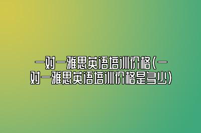 一对一雅思英语培训价格(一对一雅思英语培训价格是多少)