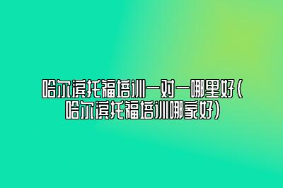 哈尔滨托福培训一对一哪里好(哈尔滨托福培训哪家好)