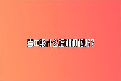 考IB报什么培训机构好？