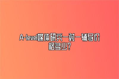 A-level媒体研究一对一辅导价格多少？