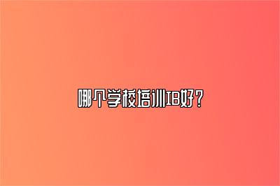 哪个学校培训IB好？