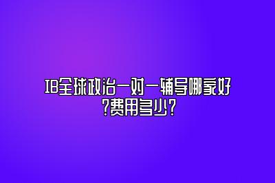 IB全球政治一对一辅导哪家好？费用多少？