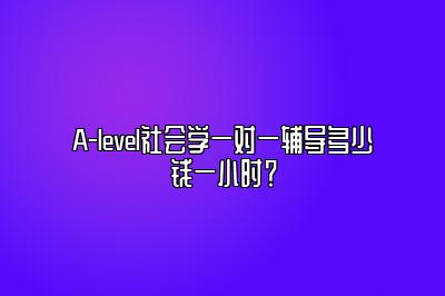 A-level社会学一对一辅导多少钱一小时？