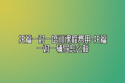 托福一对一培训课程费用-托福一对一辅导怎么样