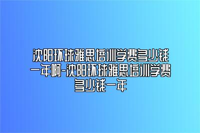沈阳环球雅思培训学费多少钱一年啊-沈阳环球雅思培训学费多少钱一年
