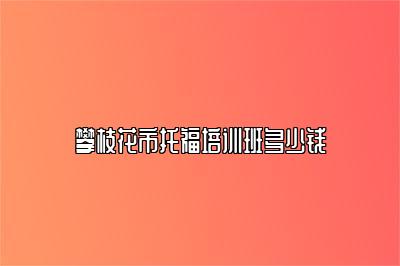 攀枝花市托福培训班多少钱