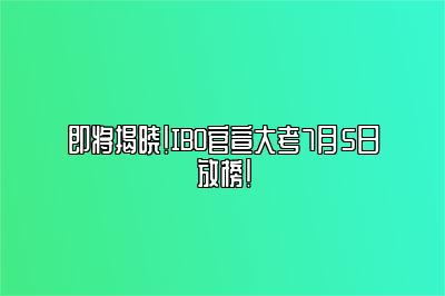 即将揭晓！IBO官宣大考7月5日放榜！