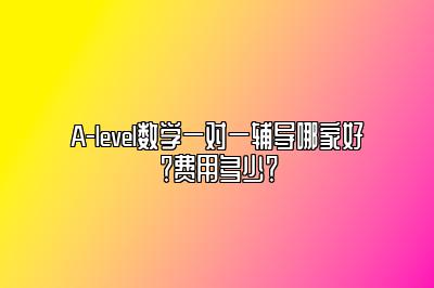 A-level数学一对一辅导哪家好？费用多少？