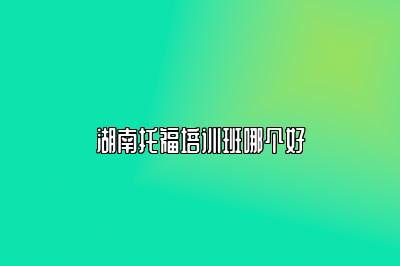 湖南托福培训班哪个好