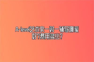 A-level艺术史一对一辅导哪家好？费用多少？