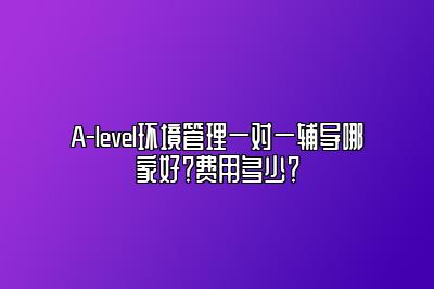 A-level环境管理一对一辅导哪家好？费用多少？