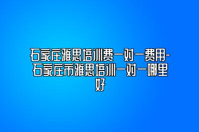 石家庄雅思培训费一对一费用-石家庄市雅思培训一对一哪里好