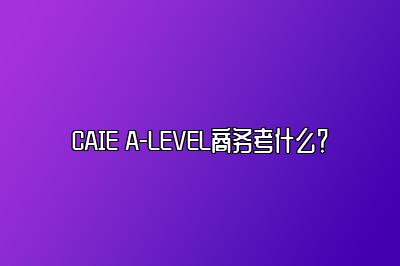 CAIE A-LEVEL商务考什么？