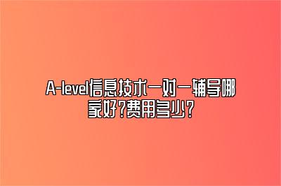 A-level信息技术一对一辅导哪家好？费用多少？