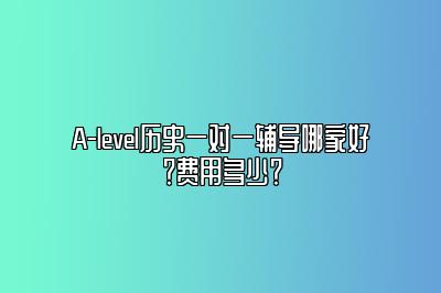 A-level历史一对一辅导哪家好？费用多少？