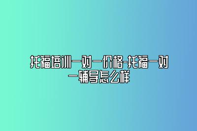 托福培训一对一价格-托福一对一辅导怎么样