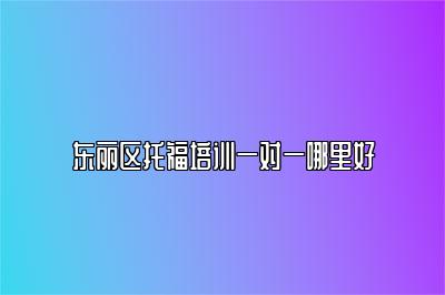 东丽区托福培训一对一哪里好