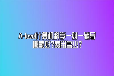 A-level计算机科学一对一辅导哪家好？费用多少？