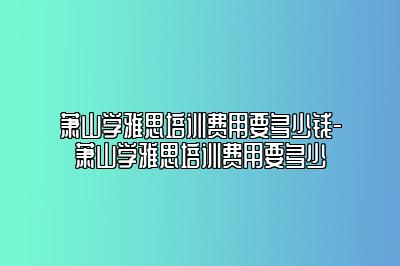 萧山学雅思培训费用要多少钱-萧山学雅思培训费用要多少