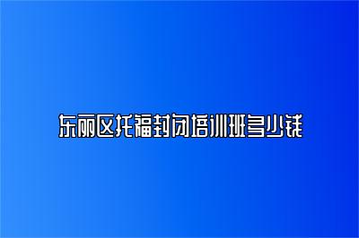 东丽区托福封闭培训班多少钱