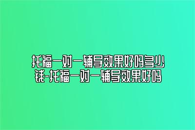 托福一对一辅导效果好吗多少钱-托福一对一辅导效果好吗