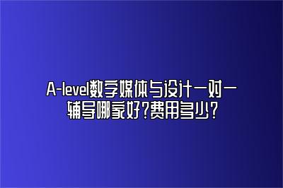 A-level数字媒体与设计一对一辅导哪家好？费用多少？