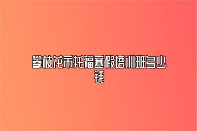 攀枝花市托福寒假培训班多少钱