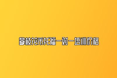 攀枝花市托福一对一培训价格