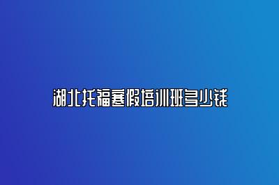 湖北托福寒假培训班多少钱