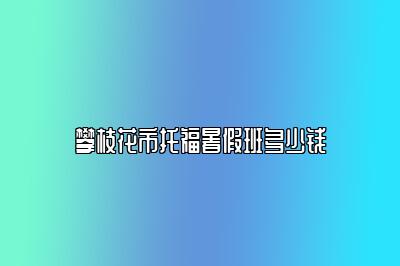 攀枝花市托福暑假班多少钱