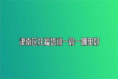 津南区托福培训一对一哪里好