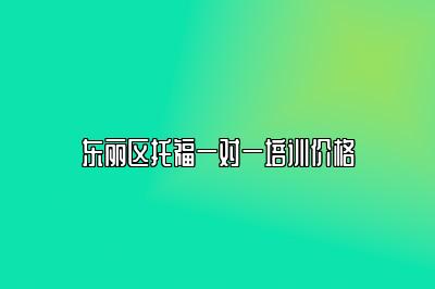 东丽区托福一对一培训价格