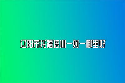 辽阳市托福培训一对一哪里好