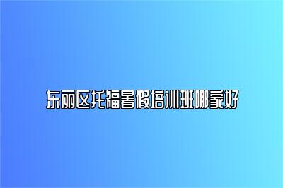 东丽区托福暑假培训班哪家好