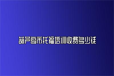 葫芦岛市托福培训收费多少钱