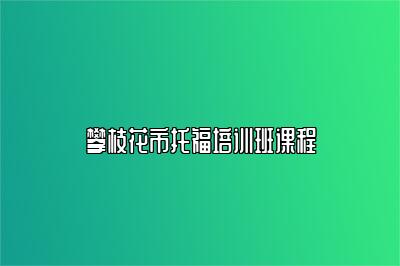 攀枝花市托福培训班课程