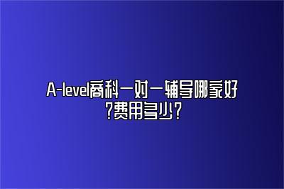 A-level商科一对一辅导哪家好？费用多少？