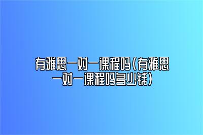 有雅思一对一课程吗(有雅思一对一课程吗多少钱)