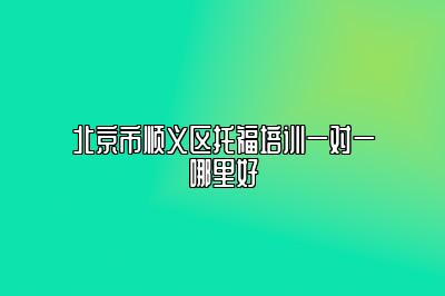 北京市顺义区托福培训一对一哪里好