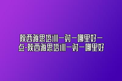 陕西雅思培训一对一哪里好一点-陕西雅思培训一对一哪里好