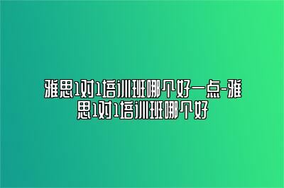 雅思1对1培训班哪个好一点-雅思1对1培训班哪个好