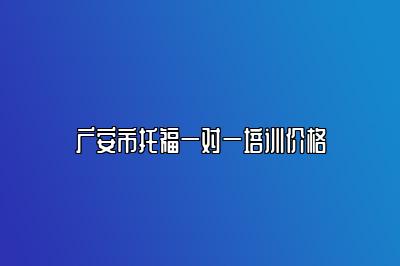 广安市托福一对一培训价格
