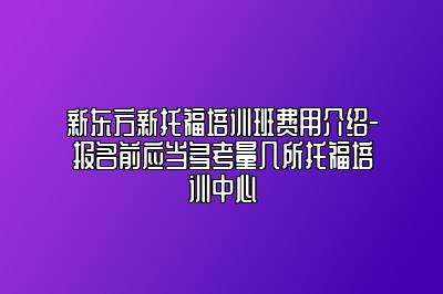 新东方新托福培训班费用介绍-报名前应当多考量几所托福培训中心