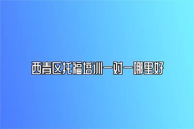 西青区托福培训一对一哪里好