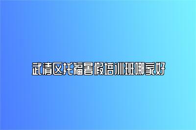 武清区托福暑假培训班哪家好