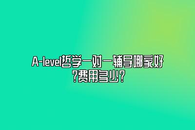 A-level哲学一对一辅导哪家好？费用多少？