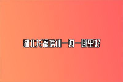 湖北托福培训一对一哪里好