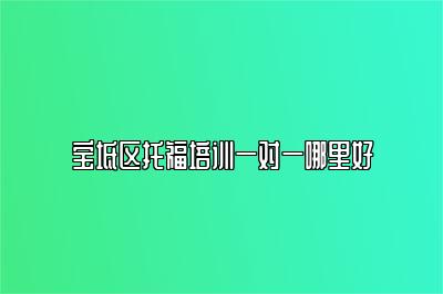 宝坻区托福培训一对一哪里好